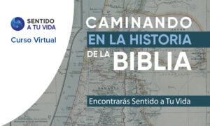 caminando cover